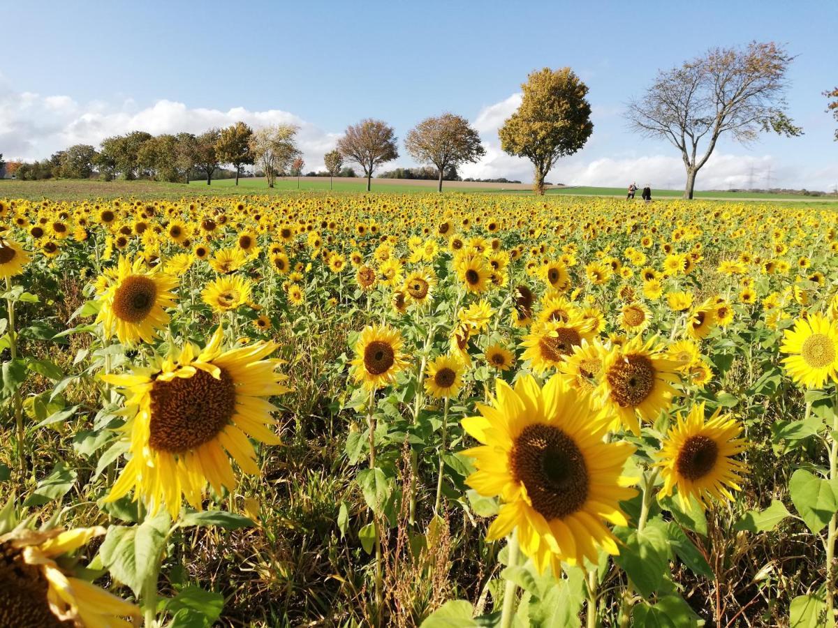 Appartamento Eifelpause Plaidt Esterno foto